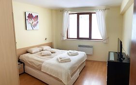Ski Area 202 Apt, The Castle 1, Pamporovo